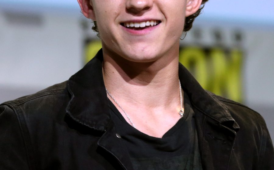 Tom Holland (representative image)