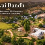 Jawai Bandh: Where Rajasthan's Wild Landscape Meets Authentic Hospitality